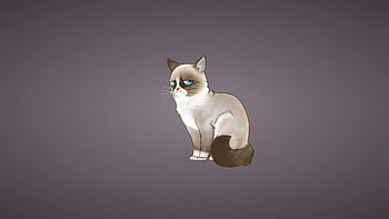 Smoking Cat Funny Cartoon 1920Ã1080 cat cartoon (35 ) HD wallpaper